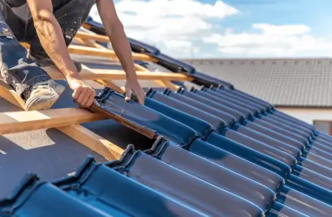 Couverture - Danestal