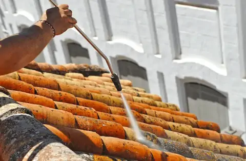 Nettoyage de toitures - Danestal